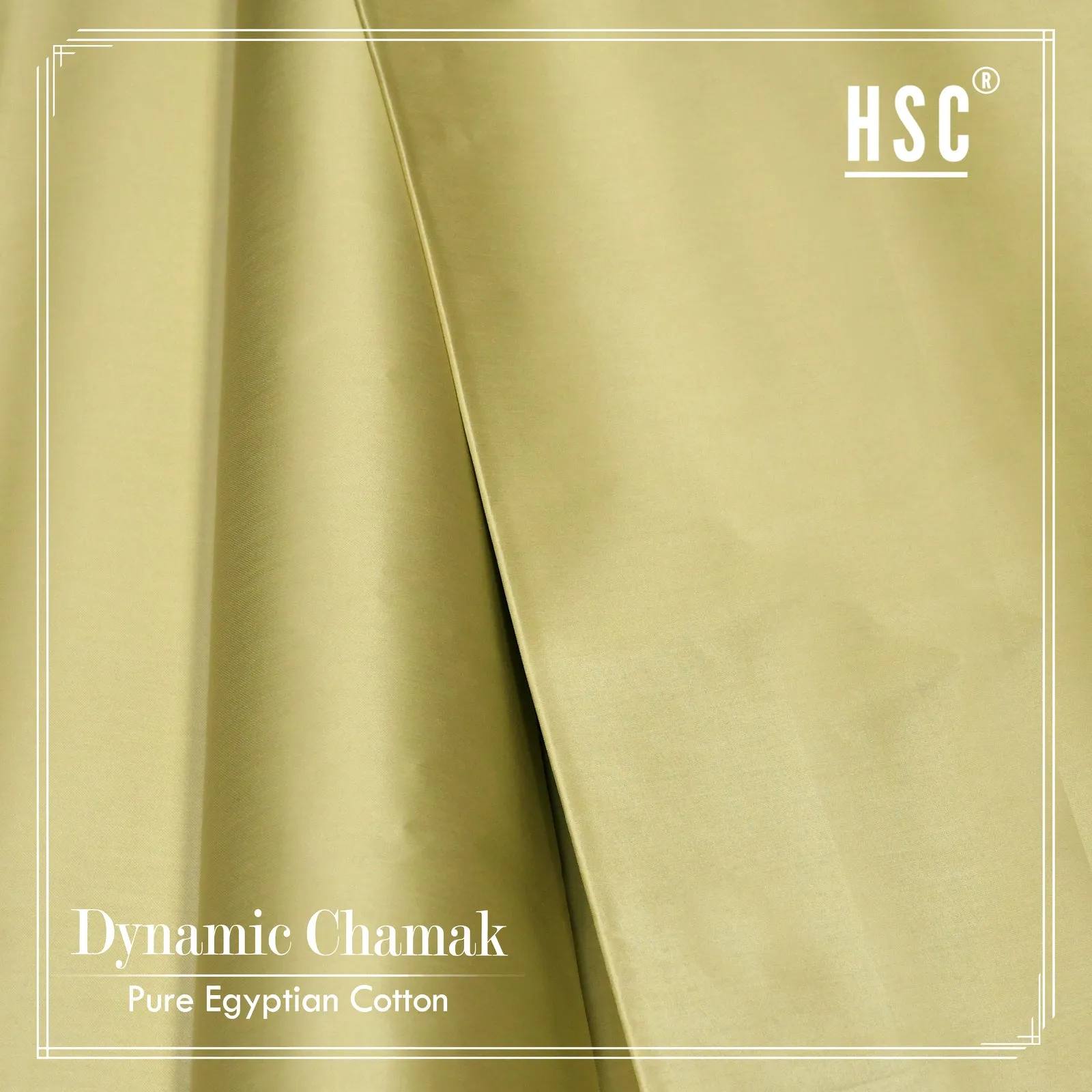 Dynamic Chamak Cotton For Men